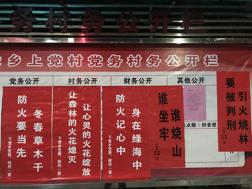 1e021e90dfd9a89d6db331e847d316d.jpg
